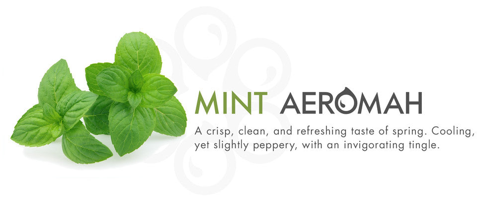 MINT Aeromah